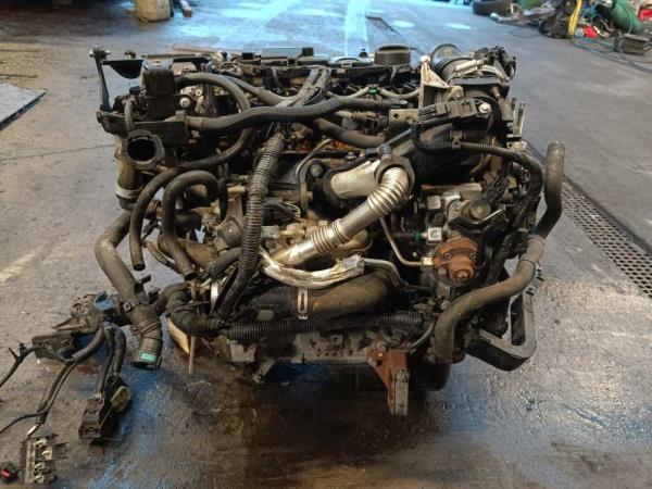 MOTEUR FORD 1.6 TDCI - Vue 5